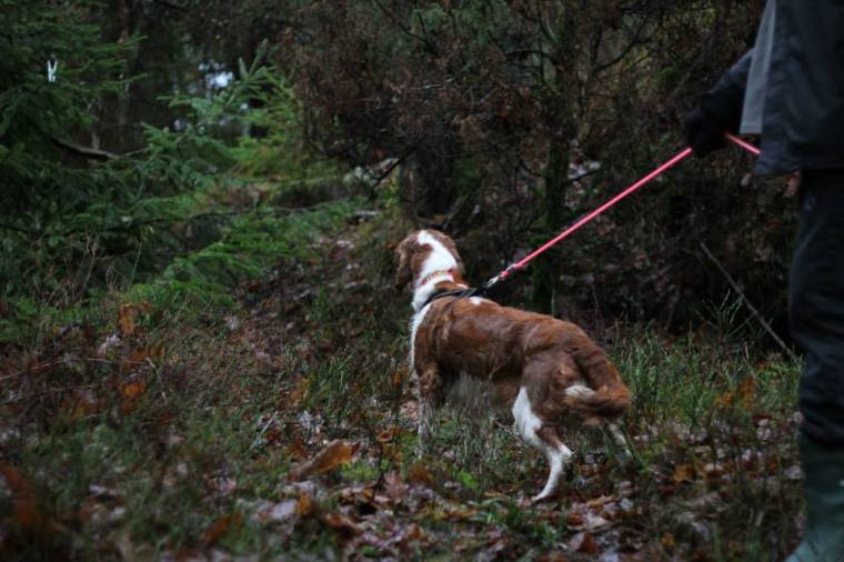 1005837_10151739366231116_1616333156_n