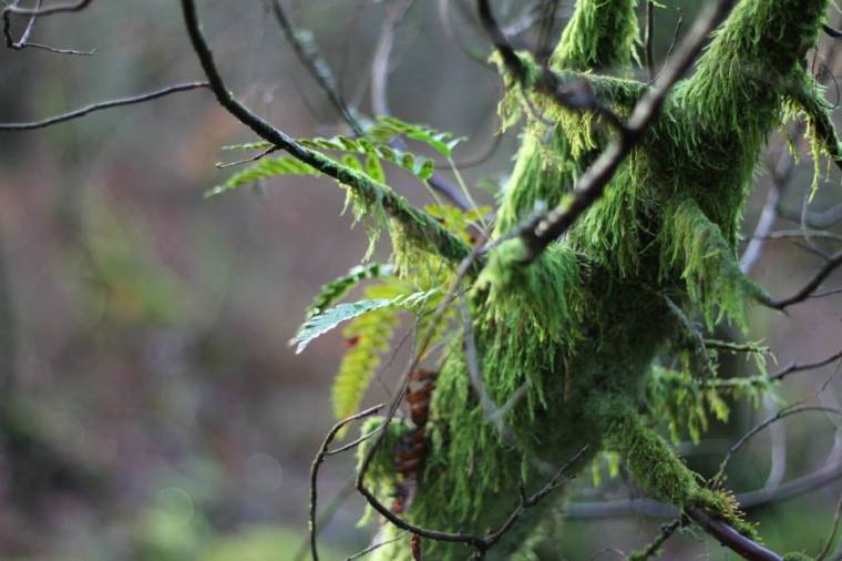 1450299_10151739366516116_1985090640_n