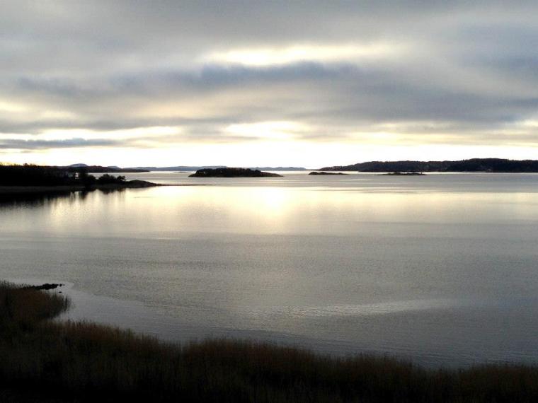 1477360_10151749036771116_2002422945_n