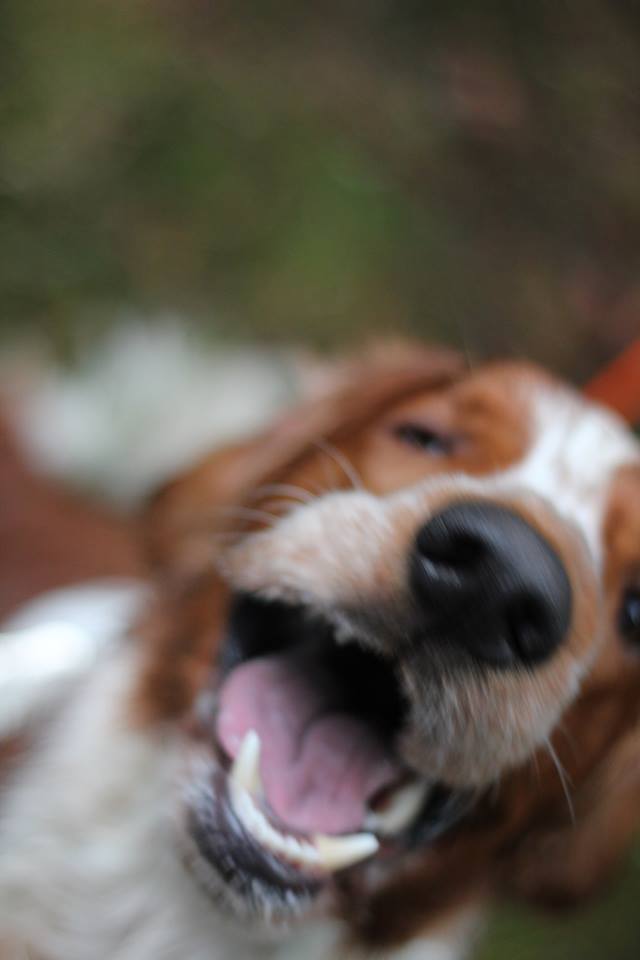 1488150_10151739323511116_1771593928_n