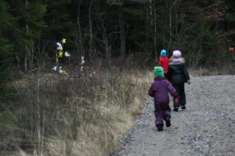 1507055_10151733326216116_618246834_n