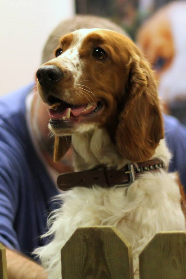 1517647_10151741291541116_1264415179_n