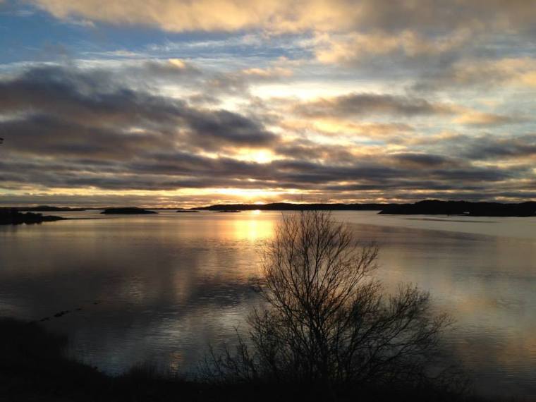 1521322_10151749195806116_1102921778_n