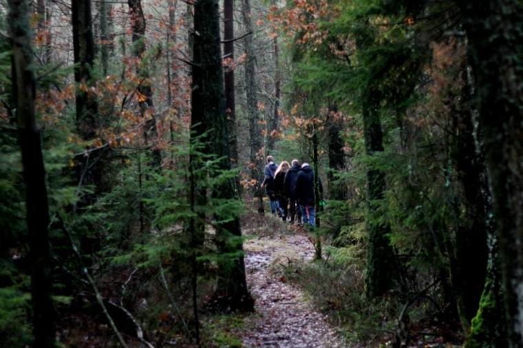 1521588_10151739366451116_1146387345_n