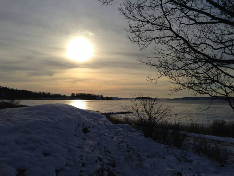 1545717_10151767484776116_1886994633_n