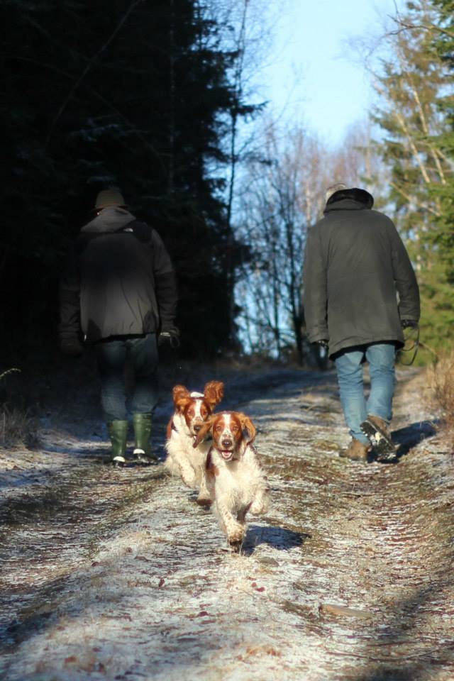 1555344_10151752424536116_1215075504_n