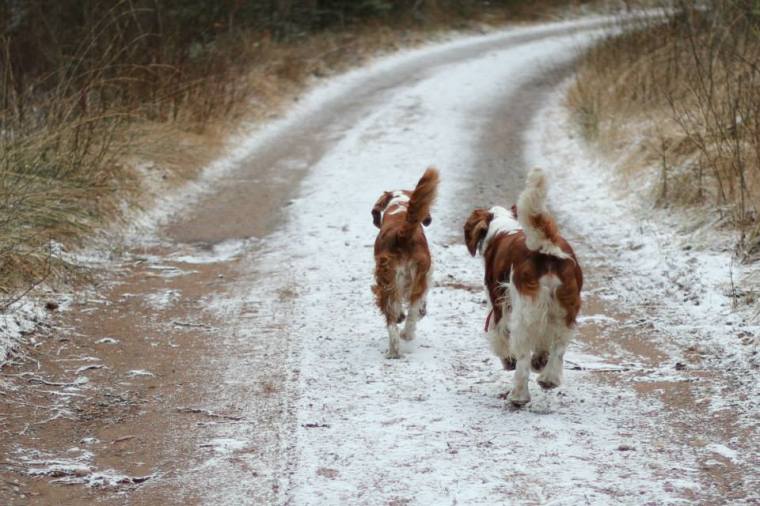 1555496_10151752413211116_1850285396_n