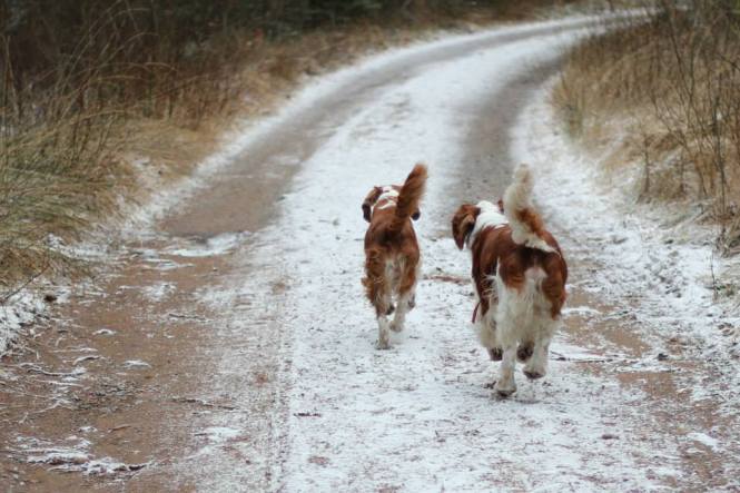 1555496_10151752413211116_1850285396_n