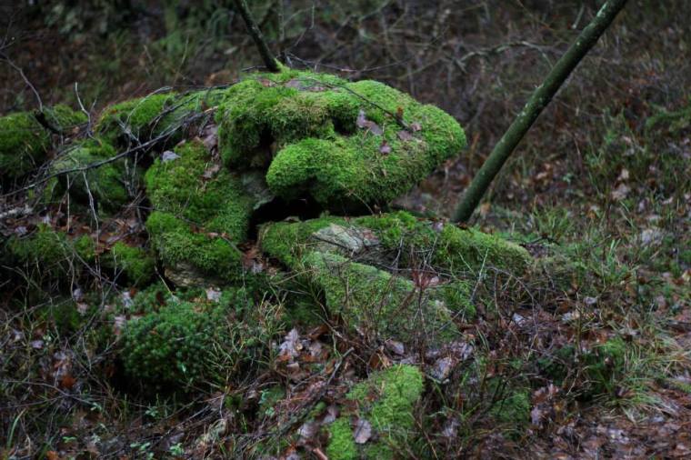 1560380_10151739365776116_2093126705_n