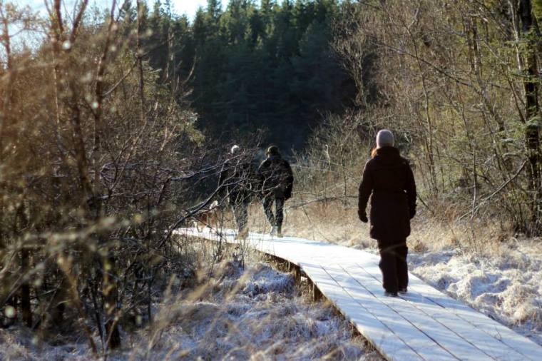 1600990_10151752424511116_2046736013_n