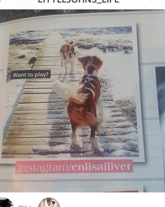 1009957_10151809513716116_1144821417_n