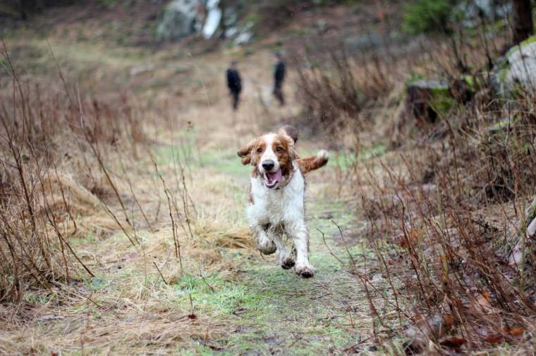 1176253_10151800415736116_1650304814_n