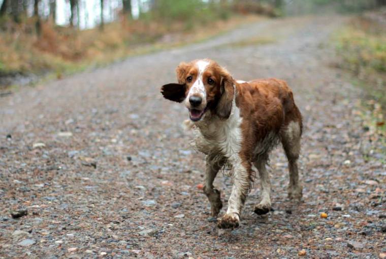 1511357_10151800415861116_861358956_n