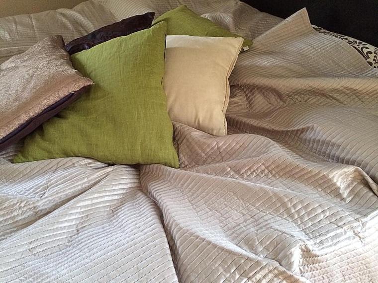 1551578_10151790225746116_2086997736_n