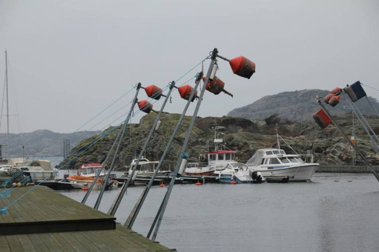 1620750_10151799080276116_1075230429_n