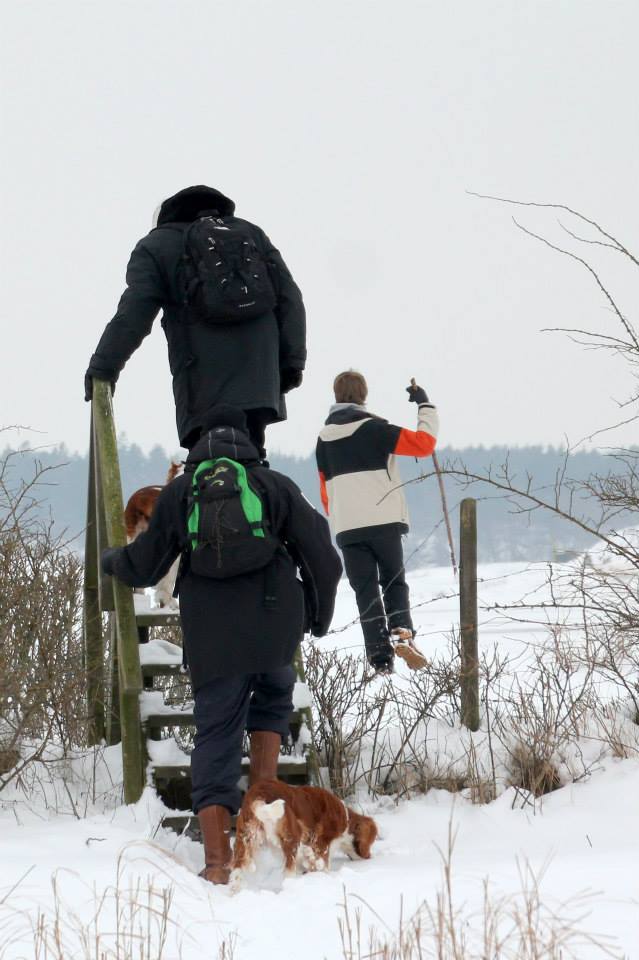 Återkommer med inställningarna...