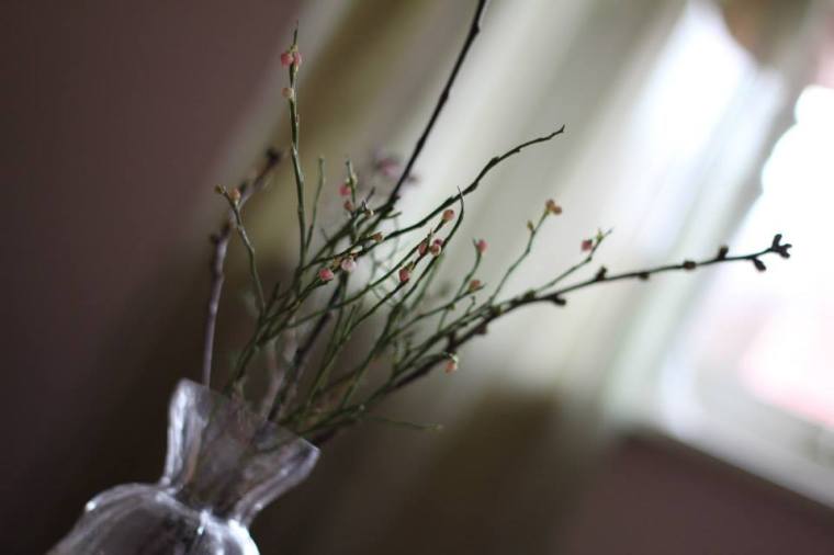 1623571_10151813137946116_2042682339_n