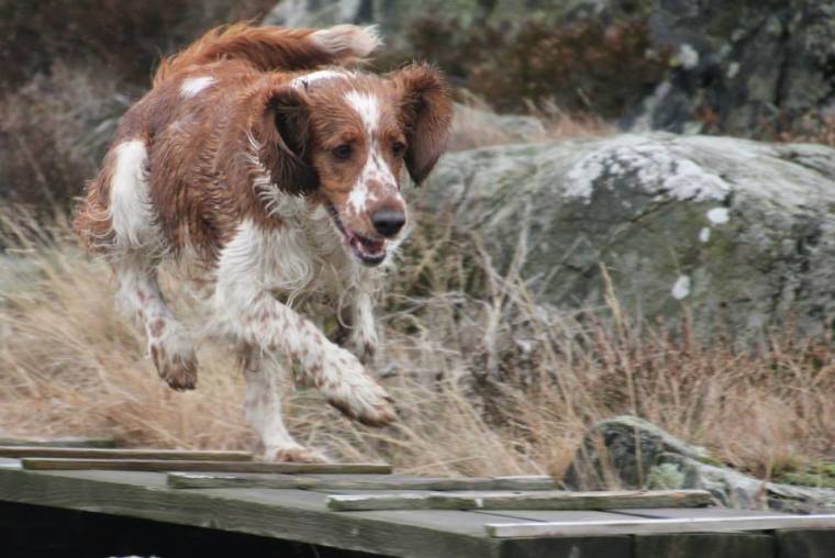 1623640_10151799079916116_2002550814_n