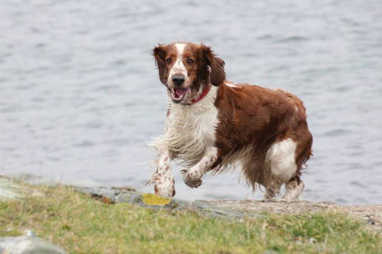 1655972_10151799079921116_94638031_n