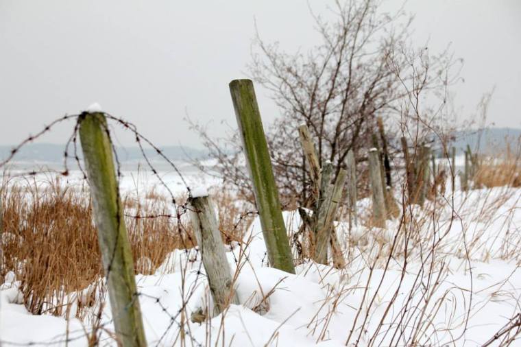 Brännvidd 59.0 mm Slutartid 1/500 Bländare f/5.0 ISO 400