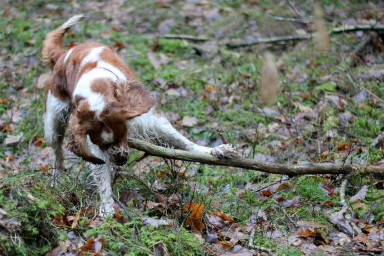 1724630_10151800415426116_1596901907_n