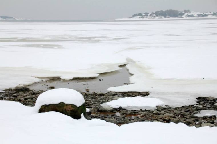 Brännvidd 50.0 mm Slutartid 1/500 Bländare f/5.0 ISO 400