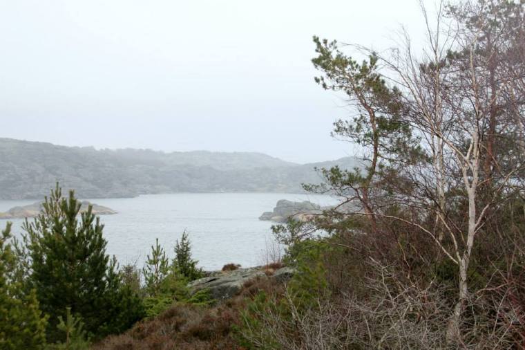 1901172_10151799033566116_1339583400_n