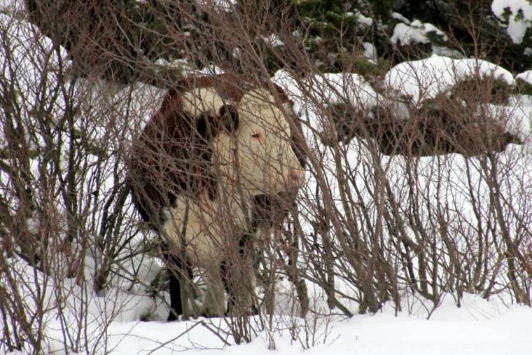 Återkommer med inställningar...