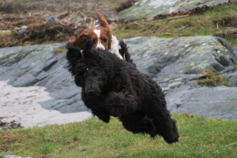 62952_10151799079926116_1272519154_n