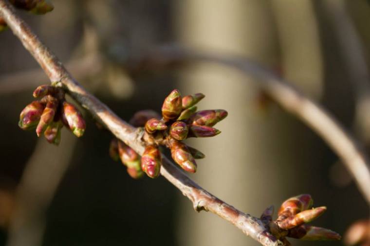 10003347_10151881161366116_207506477_n