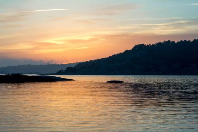 10003464_10151853188661116_208314491_n