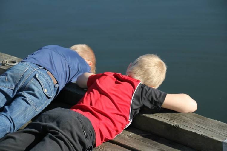 10154953_10151879063676116_1354604166_n