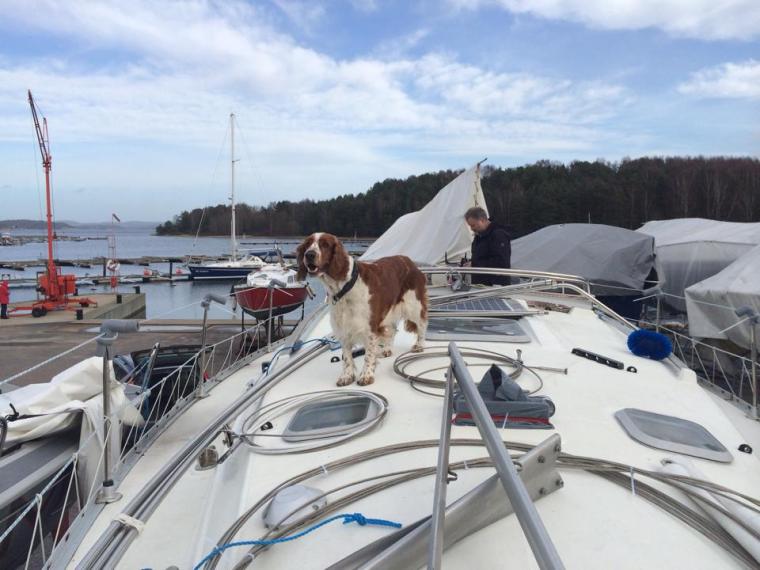 1184861_10151844630646116_78344236_n