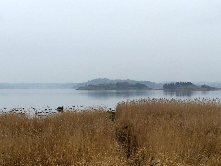 1620593_10151840159471116_710036612_n