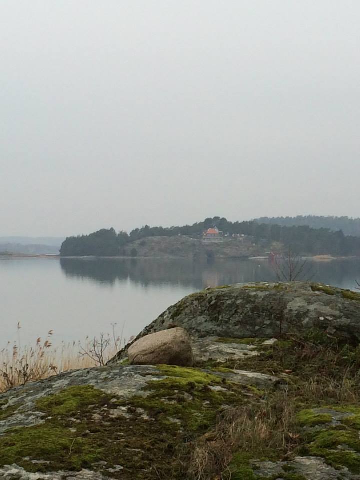 1623773_10151840159466116_1281295053_n