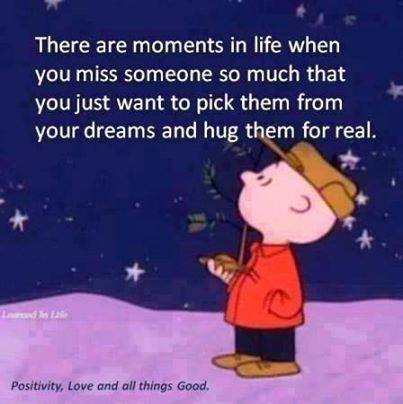 1904176_698371106872919_635437082_n