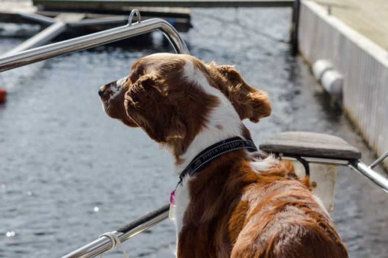 1922149_10151870020661116_399847770_n