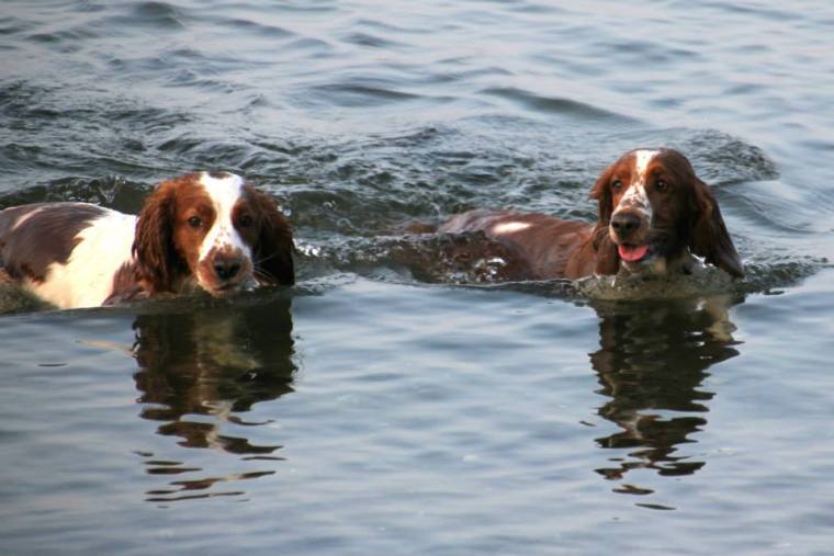 988389_10151846507466116_1195112997_n