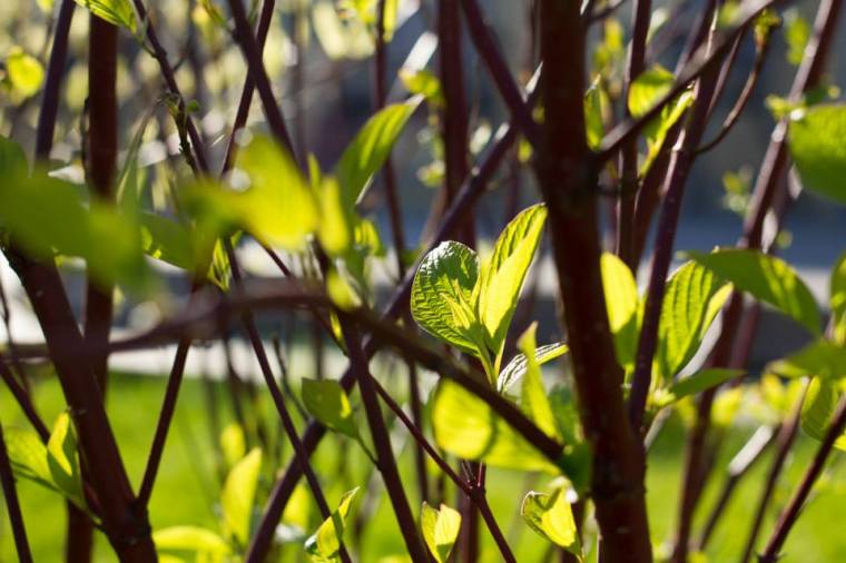 10155869_10151934678406116_1874974741529783472_n