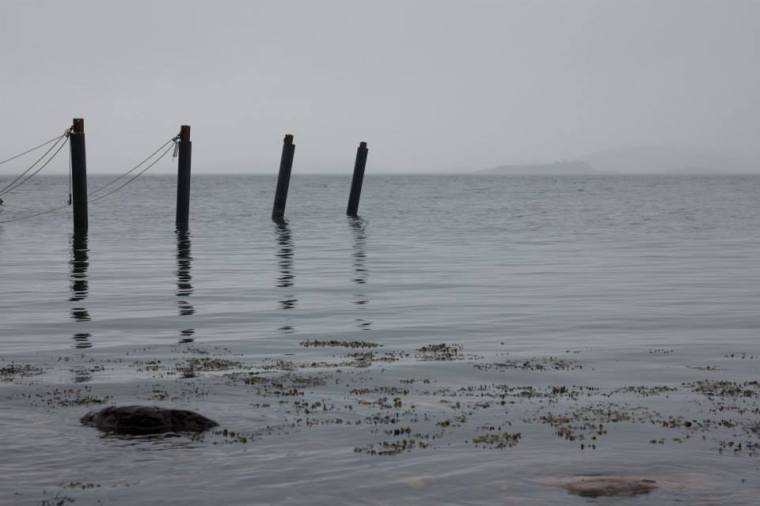 10177323_10151891631646116_5870795717764673930_n