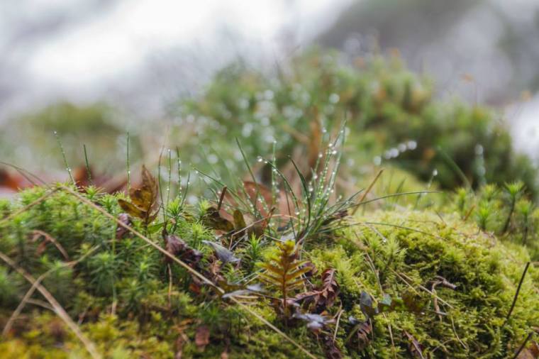 10178056_10151891631806116_999943229025020065_n