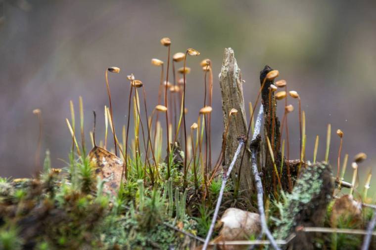 10247266_10151891629906116_1000201917966781908_n