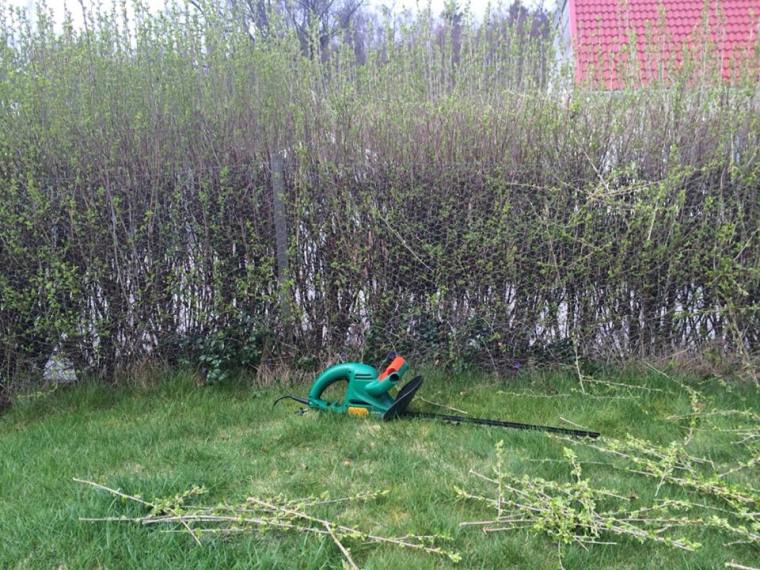 10252112_10151901695616116_607140768352670106_n