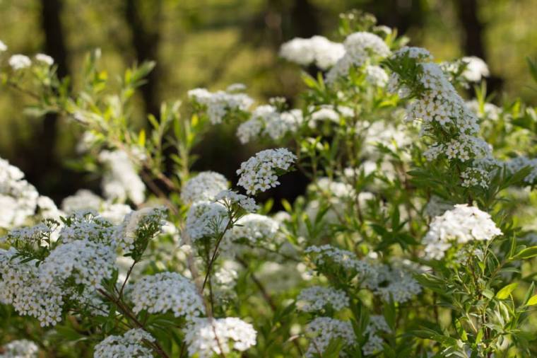 10302545_10151934678116116_602351103039214297_n