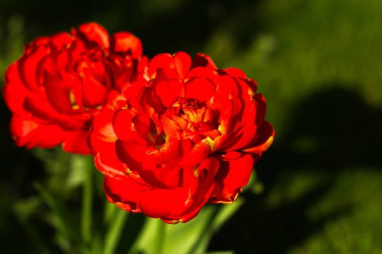 10325565_10151934677991116_260779926072055972_n