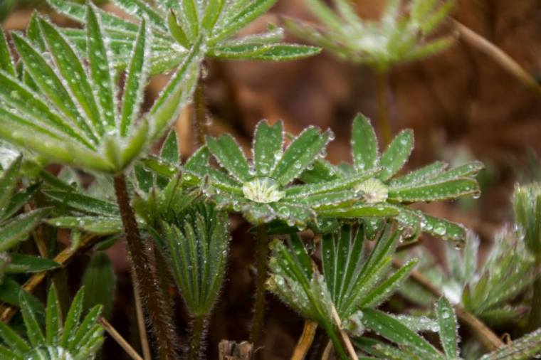 1979632_10151891631446116_4292289855725005005_n