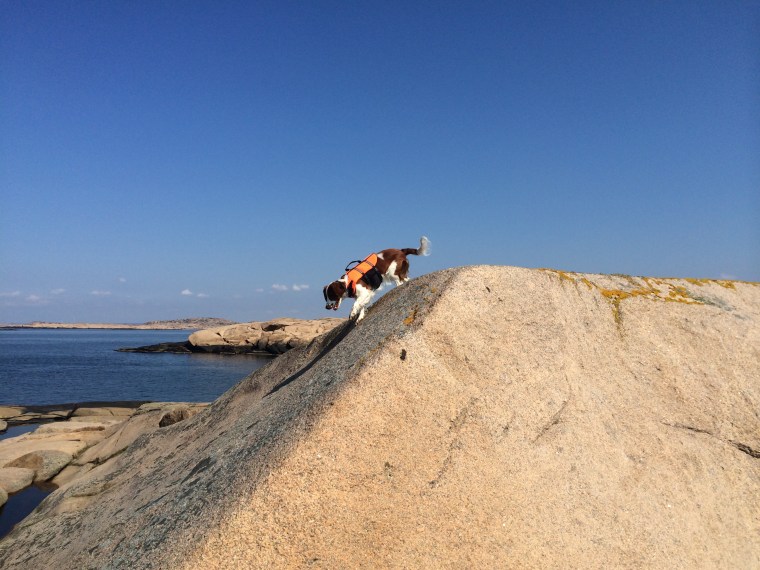 Photo 2014-04-19 12 40 55