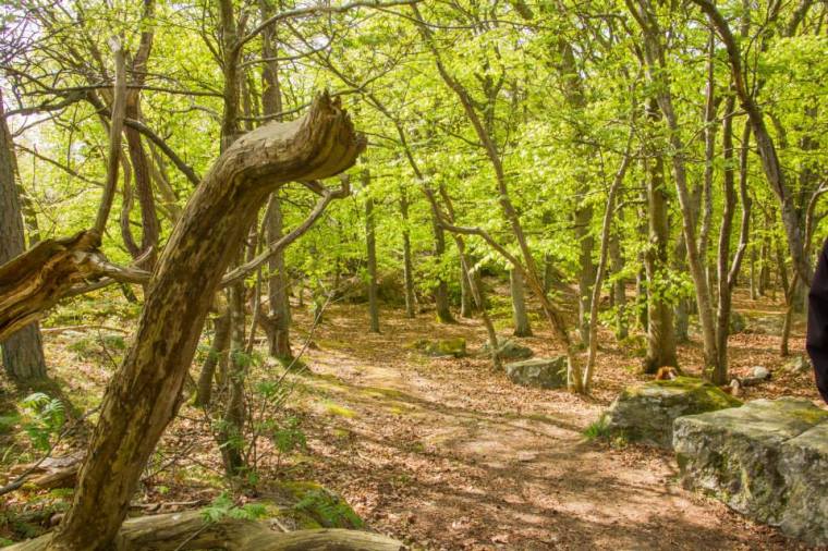 10259995_10151946380836116_673700435438837151_n