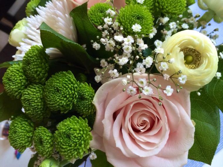 10300309_10151945354621116_2999500932276980123_n