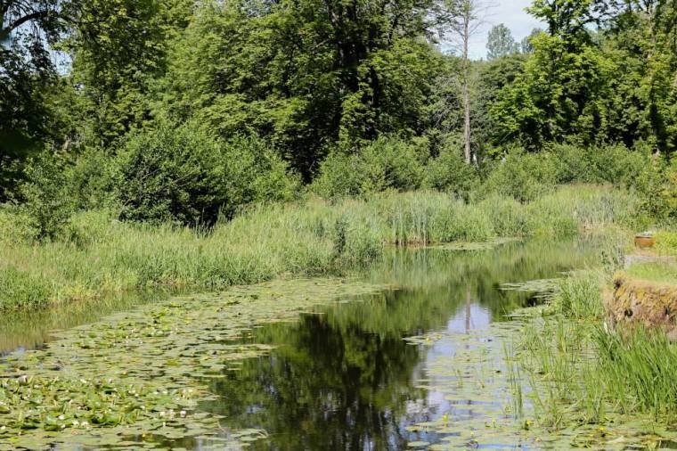 10447738_10152035244306116_7891307971855095834_n